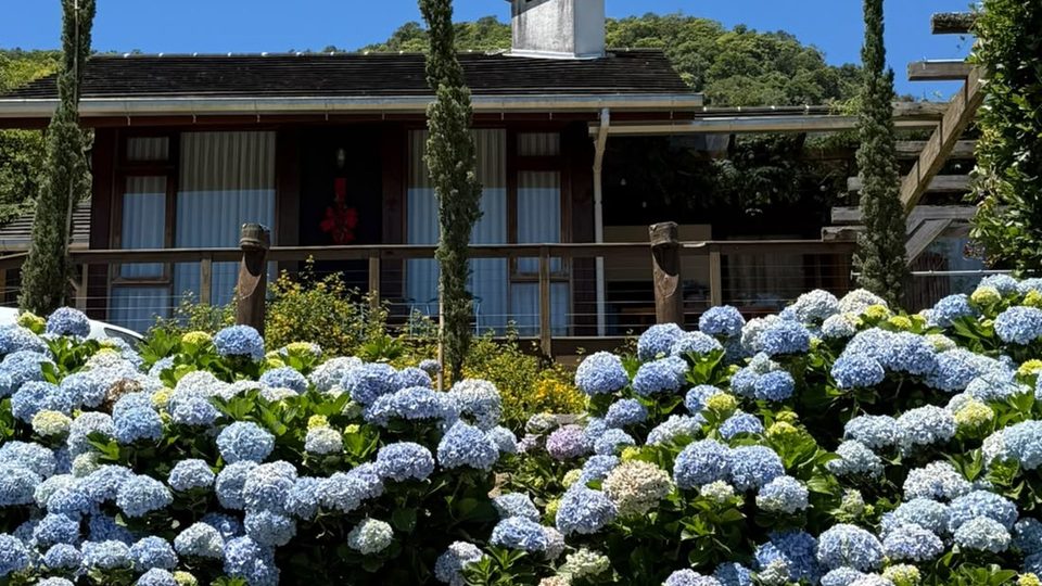 Cabana de madeira com hortênsias azuis floridas na frente.